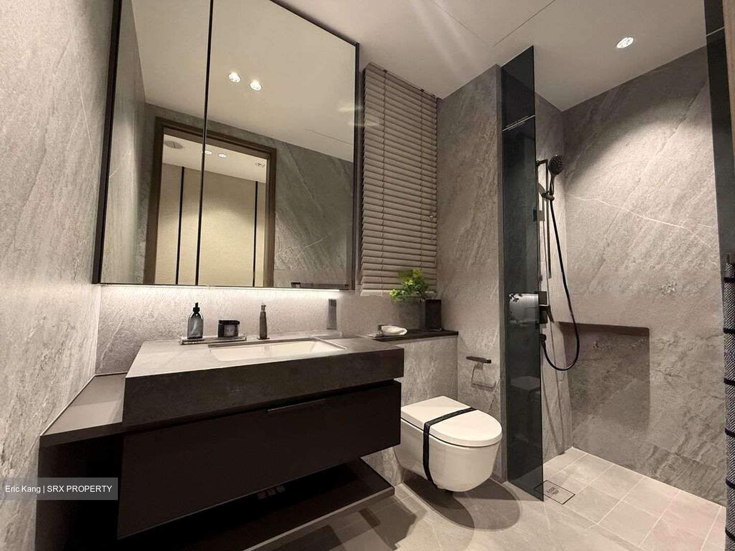 Zion Road (D3), Condominium #472828131